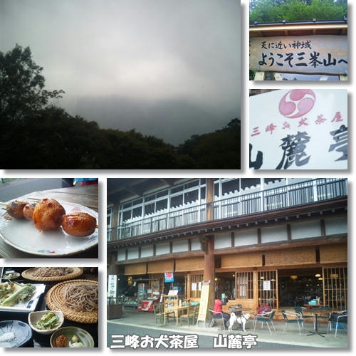 12090811.jpg