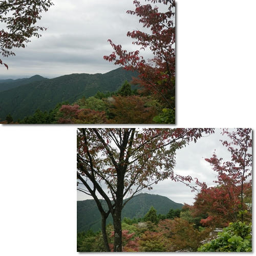 1210252.jpg