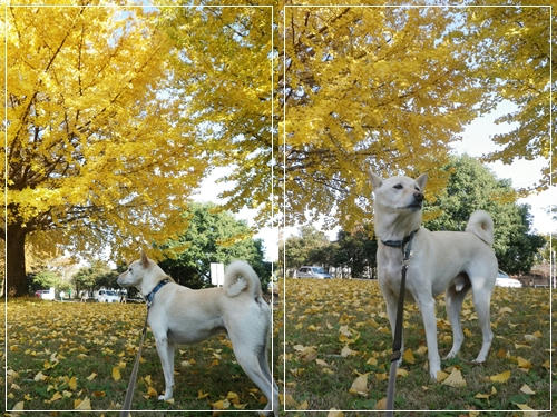 1211246.jpg