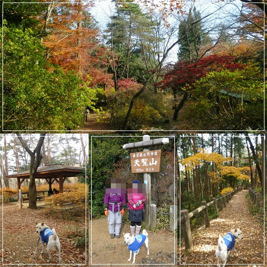 1212091.jpg