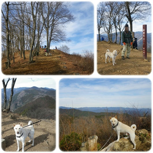 1301057.jpg