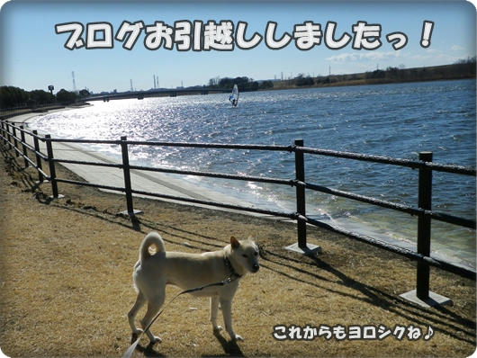 1301281.jpg