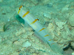 f90ac77d.jpg