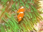 f779c59a.jpg