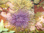 49c92633.jpg