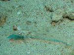 4566a680.jpg
