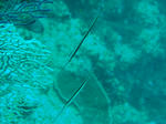 3215d7bd.jpg