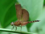 a7684ae3.jpg