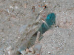 6374c2d1.jpg