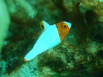 df69622f.jpg