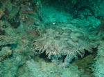 64e806ab.jpg