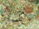 DSC00895.JPG