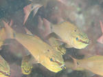 DSC00921.JPG