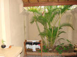 DSC03032.JPG