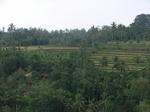 DSC03132.JPG