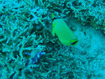 DSC02945.JPG