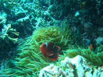 DSC02947.JPG