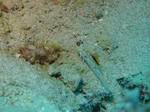 DSC02996.JPG