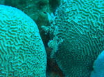 DSC02985.JPG