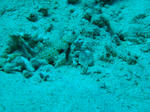 DSC03003.JPG