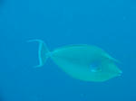 DSC03009.JPG