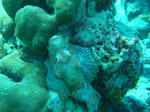 DSC03025.JPG