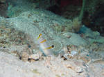 DSC03011.JPG