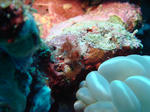 DSC03014.JPG
