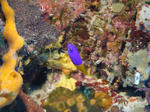 e162470f.JPG