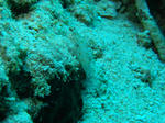 f8892ed5.JPG
