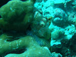 DSC03026.JPG