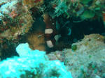 DSC03024.JPG