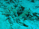 DSC03022.JPG