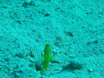 DSC03056.jpg
