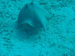 DSC03065.JPG