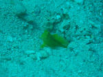 DSC03057.JPG