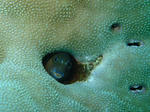 DSC03071.JPG