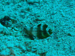 DSC03068.JPG