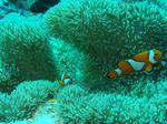 DSC03078.JPG