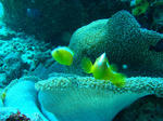 DSC03080.JPG
