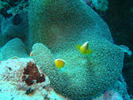 DSC03084.JPG