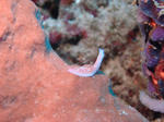 DSC03088.JPG
