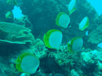 DSC03100.JPG