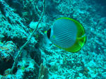 DSC03099.JPG