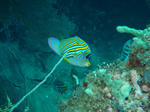 DSC03106.JPG