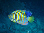DSC03107.JPG
