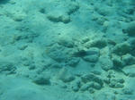 DSC03110.JPG