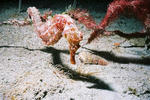 4a70150b.jpg
