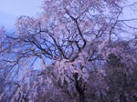 T0010003~001.jpg