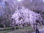 T0010004~001.jpg